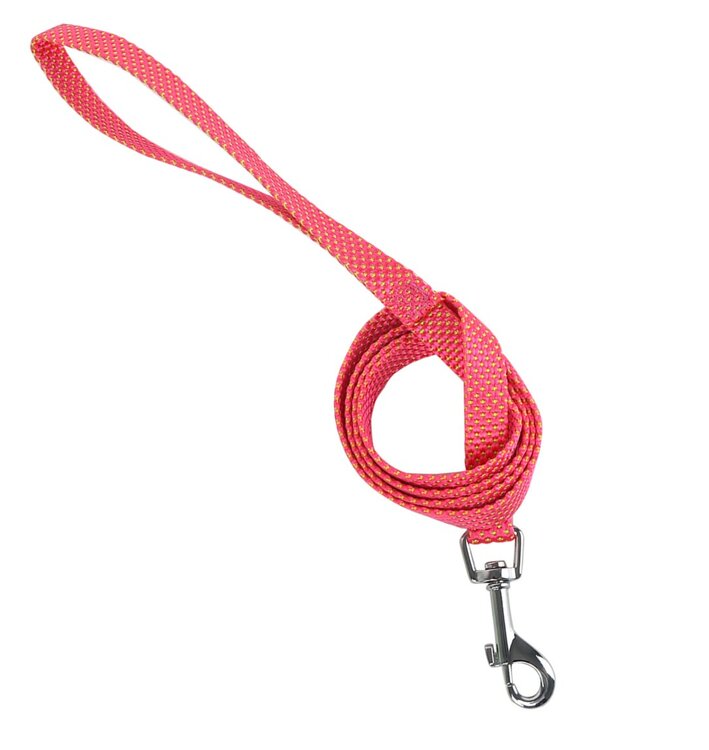 Hondenriem rood