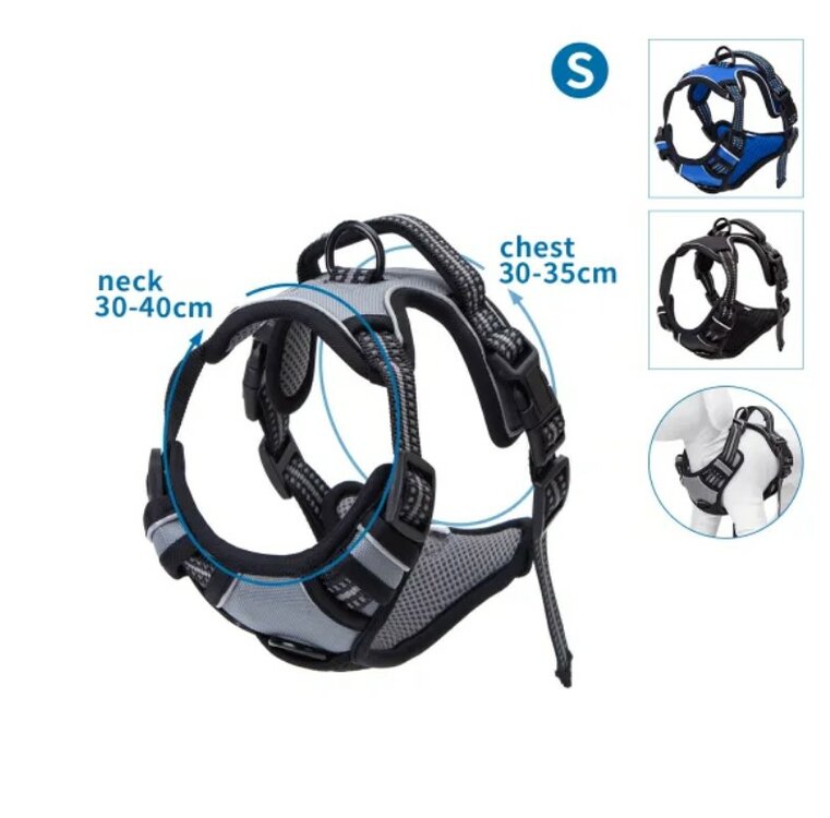 anti trek riem voor honden