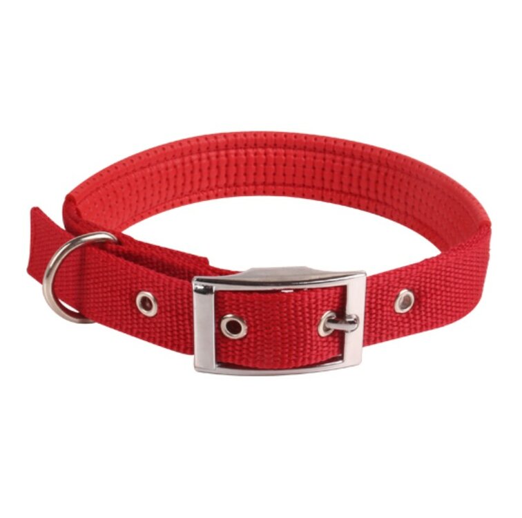 rode halsband voor honden