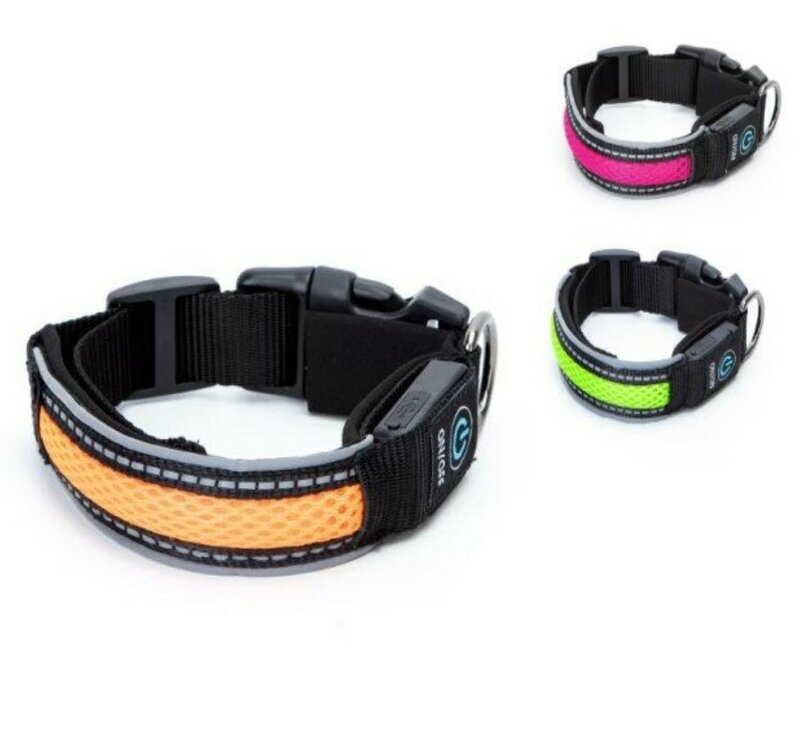 honden halsband met led licht