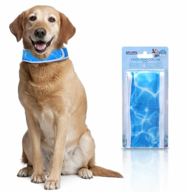 gel koelhalsband voor honden