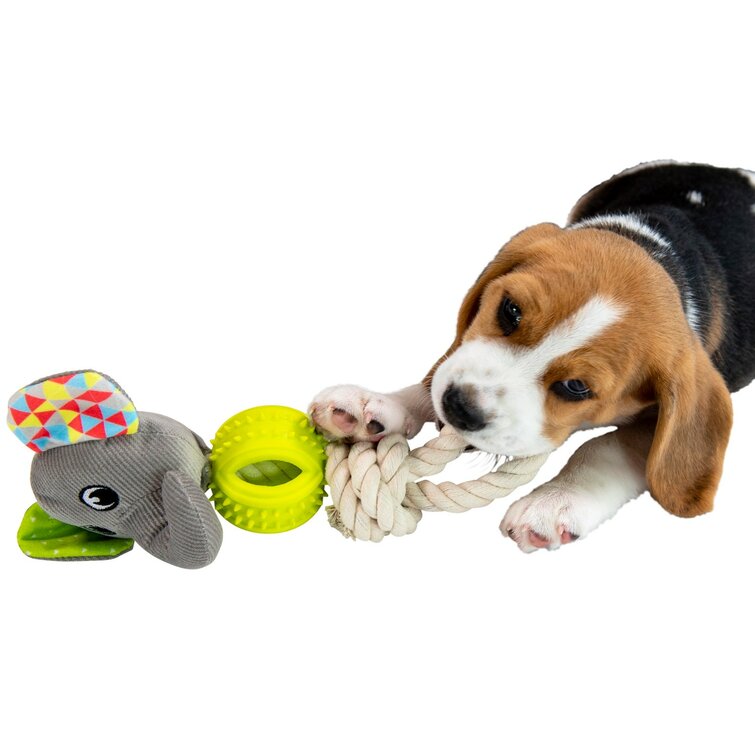 Speelgoed voor puppy
