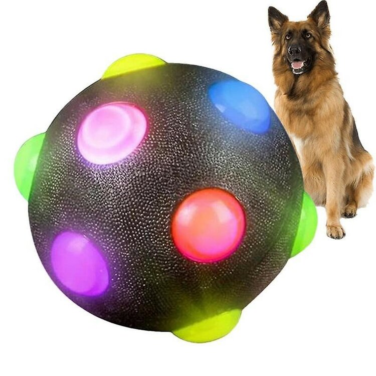 Honden speelbal met led licht
