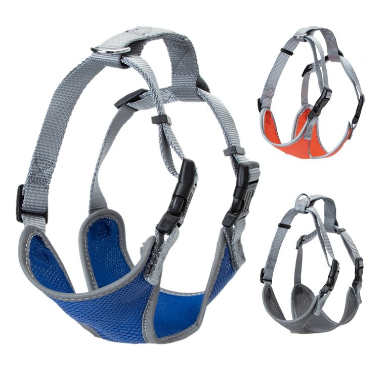 Honden h-tuig - Gevoerd - Nylon - Maat L
