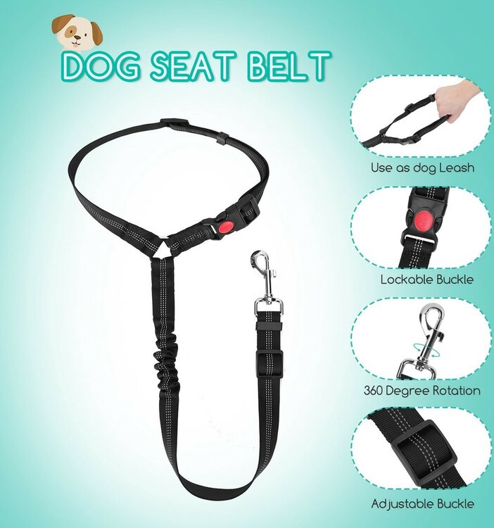 Autogordels voor honden