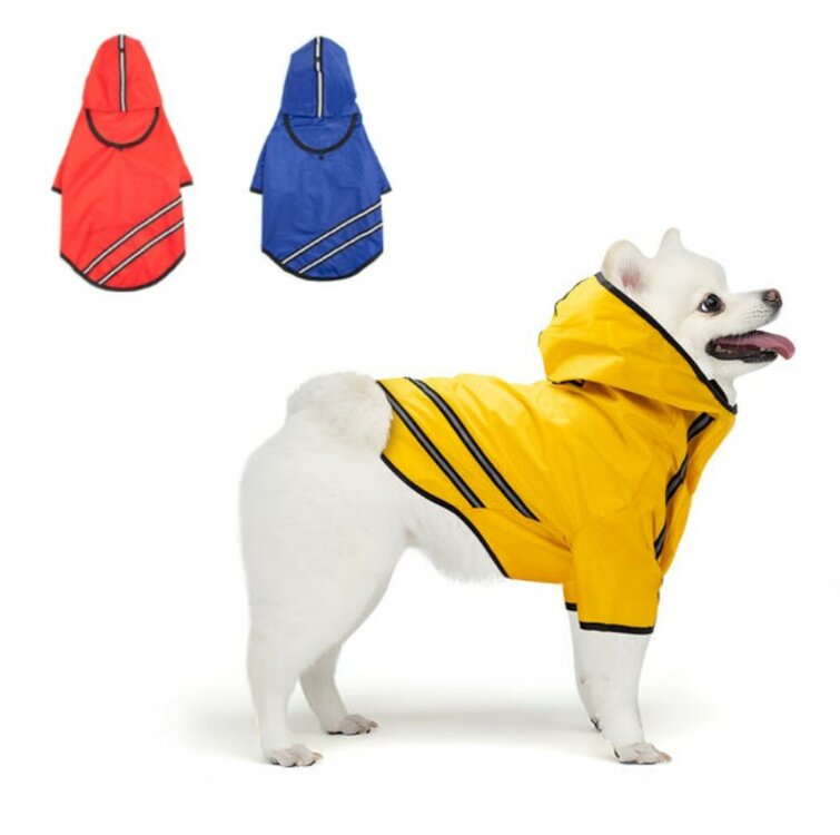 Regenjas voor kleine hond