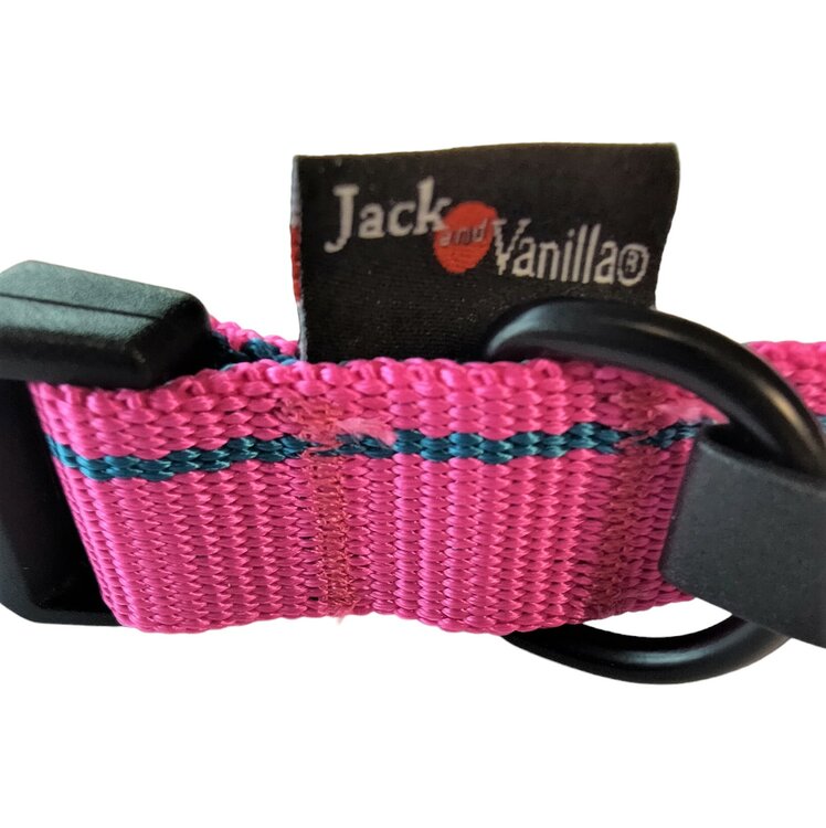 Goede stevige hondenhalsband