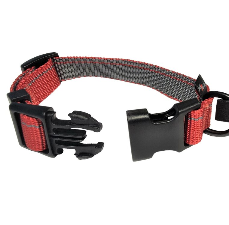 Jack and Vanilla Hondenhalsband - Nylon - Kliksluiting - Rood - 26 cm