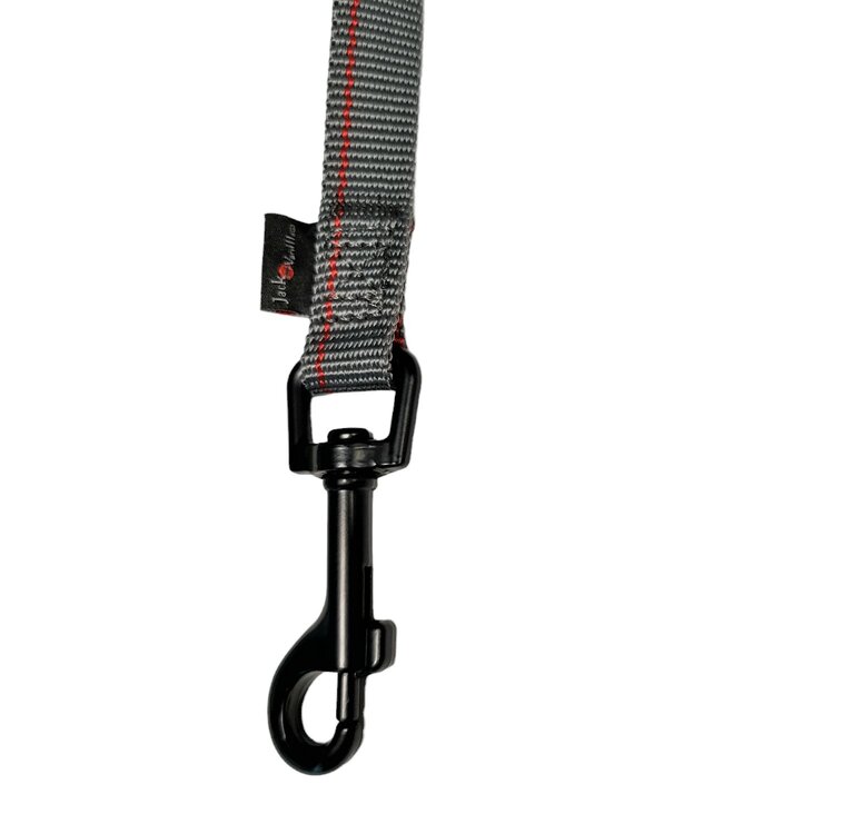 Jack and Vanilla Hondenriem - Nylon - Rood / grijs - Lengte 120 cm - Breedte 2 cm