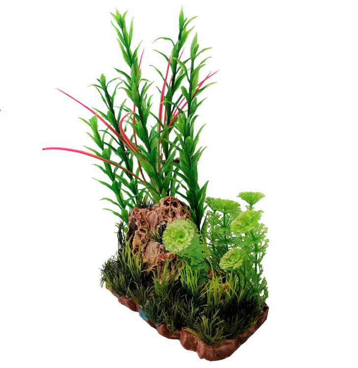 aquariuminrichting met planten en stenen