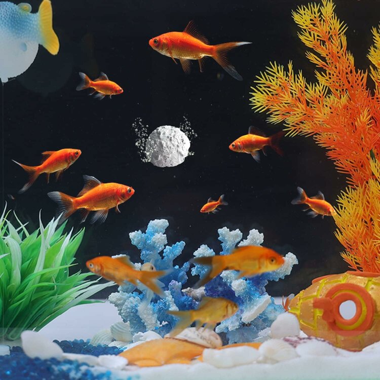 Nobleza Voederblok voor aquariumvissen - Vakantie - 20 gr
