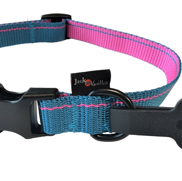 Jack and Vanilla Hondenhalsband - Nylon - Kliksluiting - Blauw - 26 cm