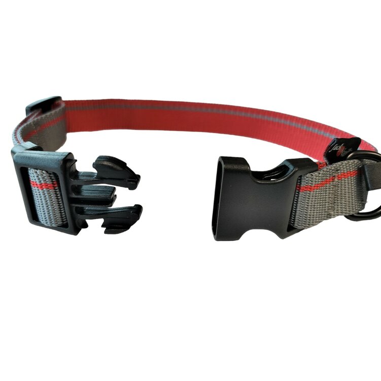 Jack and Vanilla Hondenhalsband - Nylon - Kliksluiting - Grijs - 26 cm