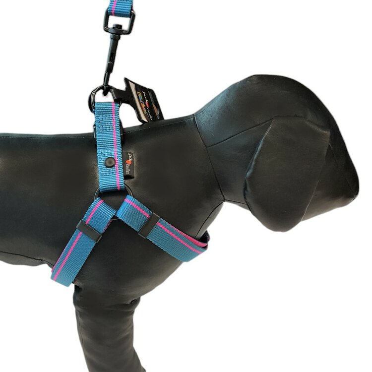 Y tuigje voor puppy