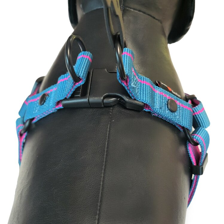 Jack and Vanilla Y-tuig - Blauw / roze - Maat S