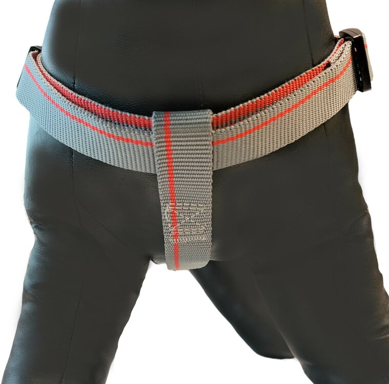 Jack and Vanilla Y-tuig kleine hond - Grijs / rood - XS