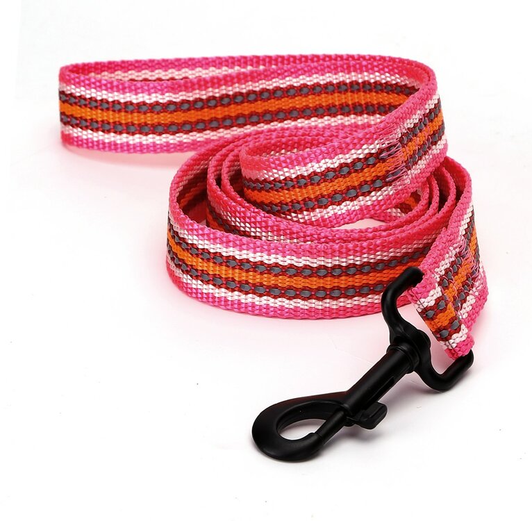 Hondenriem, nylon, reflecterend, plat