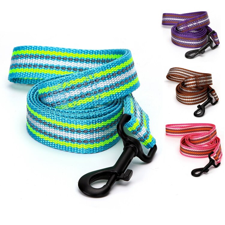 Nobleza Hondenriem - Nylon - Reflecterend - Plat - Lengte 120 cm - Breedte 2,5 cm
