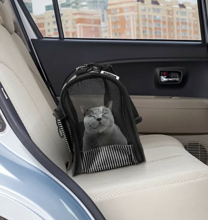 draagtassen voor katten