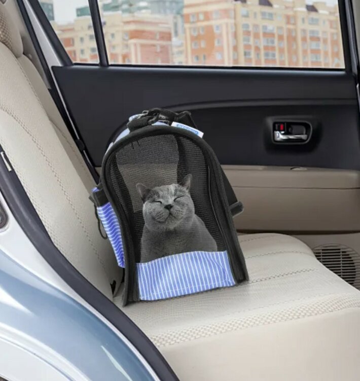 Kattentas voor in de auto