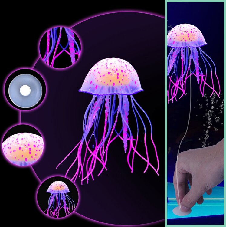 kunstmatige kwal in je aquarium 