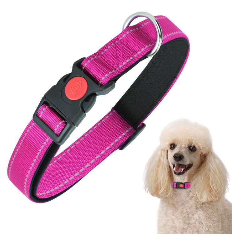 Nobleza Hondenhalsband met kliksluiting - Roze - Reflecterend - 40 cm