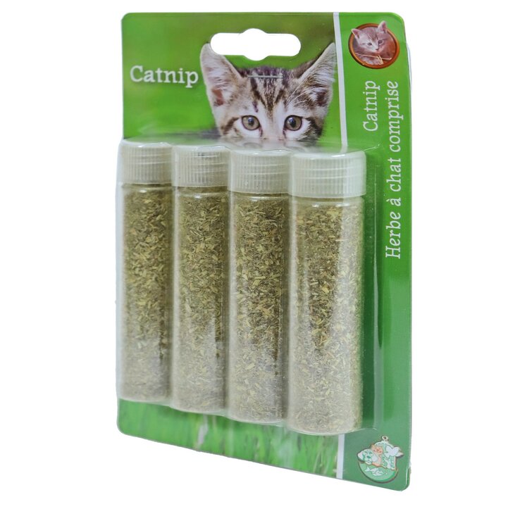 Kattenkruid catnip set van 4 tubes