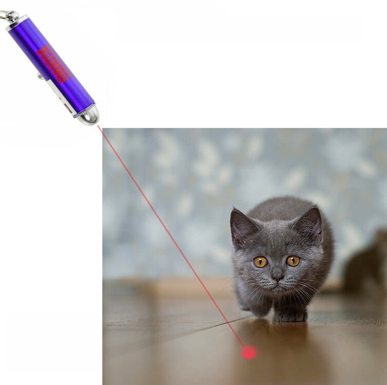 Laserspeeltje voor katten
