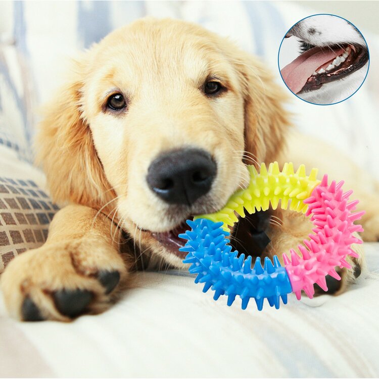 Nobleza Hondenspeelgoed - Set - 10 stuks