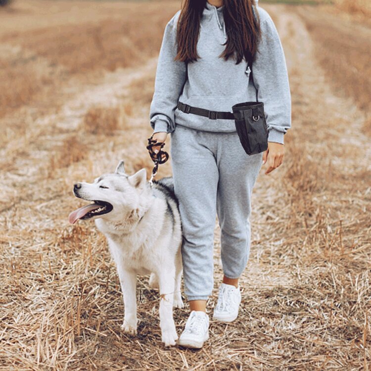 Beloningszak voor training honden