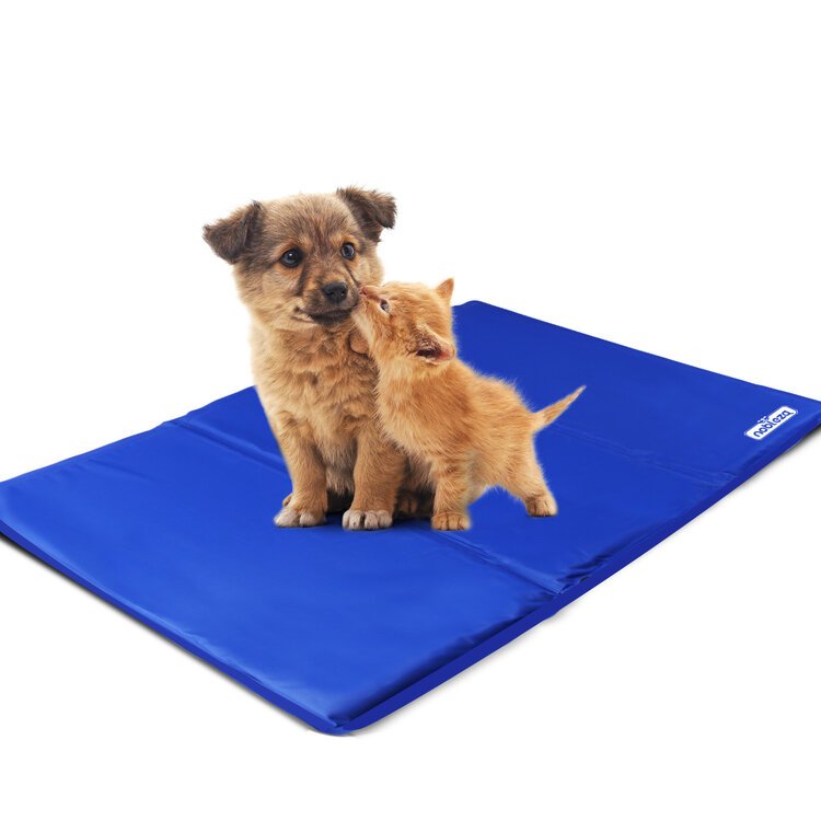 Koelmatten voor honden af te koelen