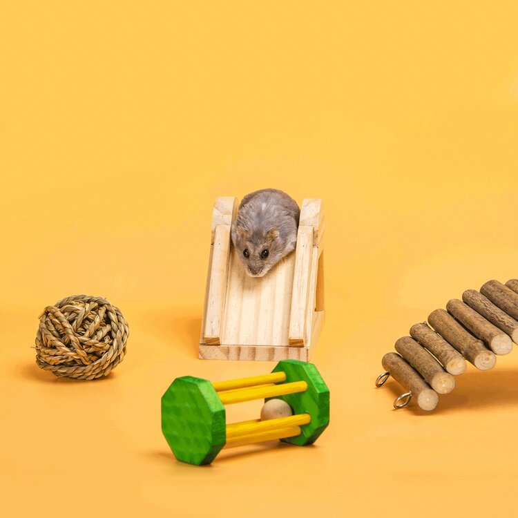 Speeltjes voor in de hamsterkooi