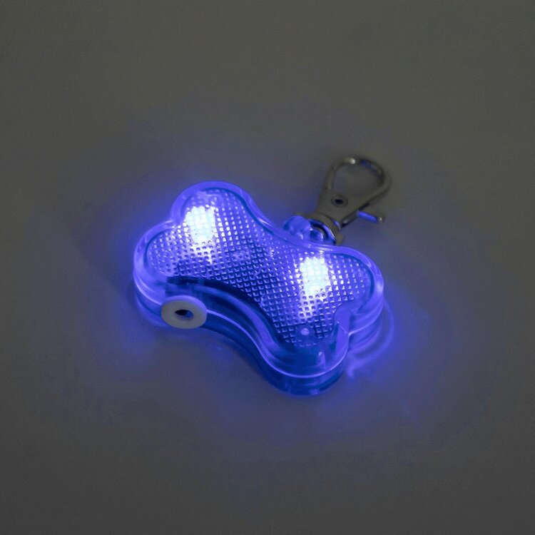 Dit lampje voor honden kun je vastklemmen aan een riem, harnas of halsband