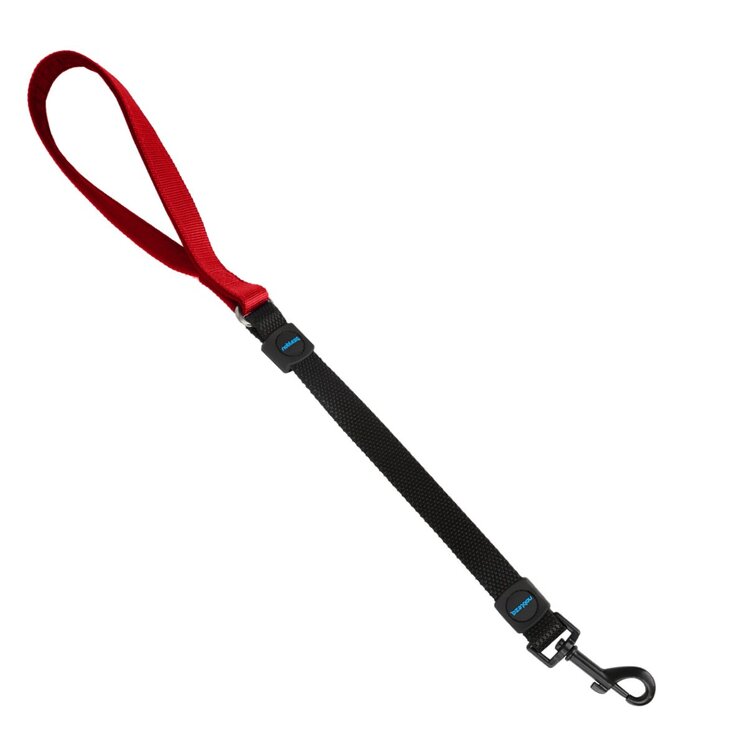 Hondenriem - Kort - Elastisch - 50 cm x 2 cm