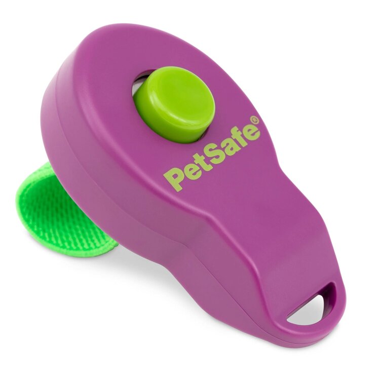 Training met clickergeluid