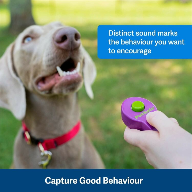 Clicker voor training van jouw hond of puppy