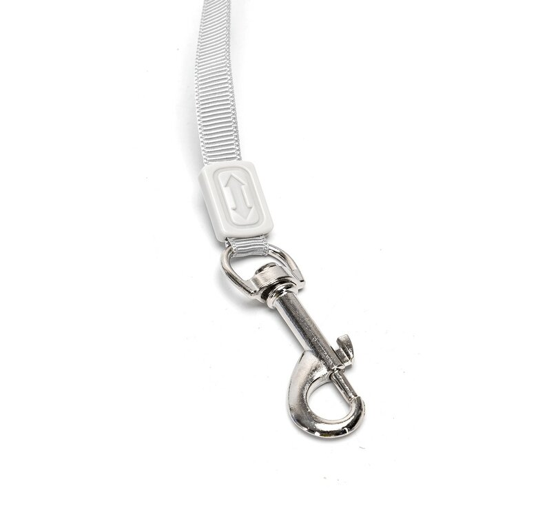 Nobleza Hondenriem - Rollijn - 3 Meter - Tot 50 kg