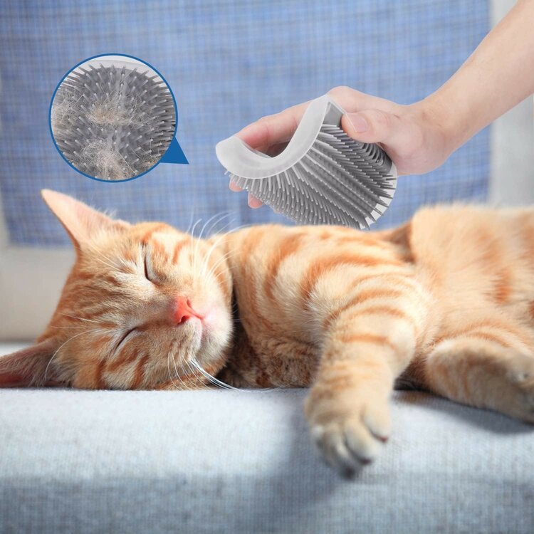 Nobleza Kattenborstel met kattenkruid - Hoek