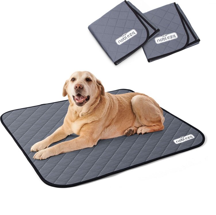 Training pads - Wasbaar / herbruikbaar - 2 Stuks - 81x72 cm