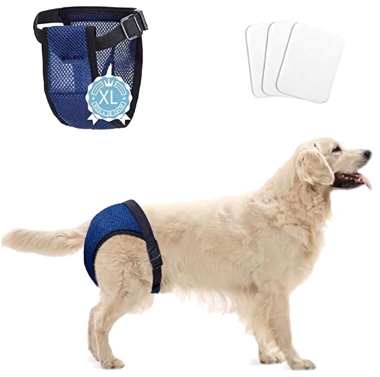 Incontinentie hond broekje teef
