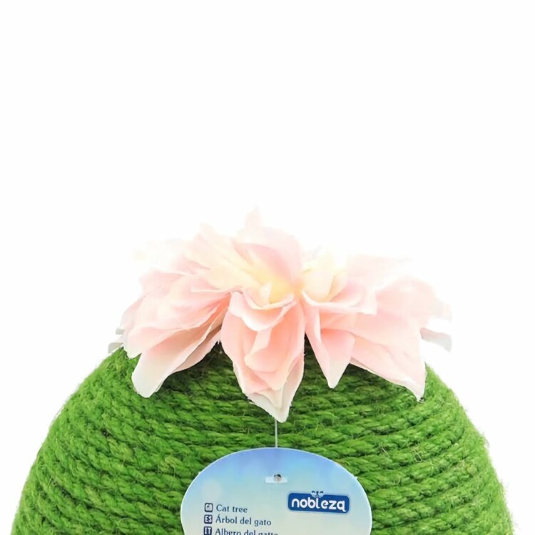 cactus katten krabbol
