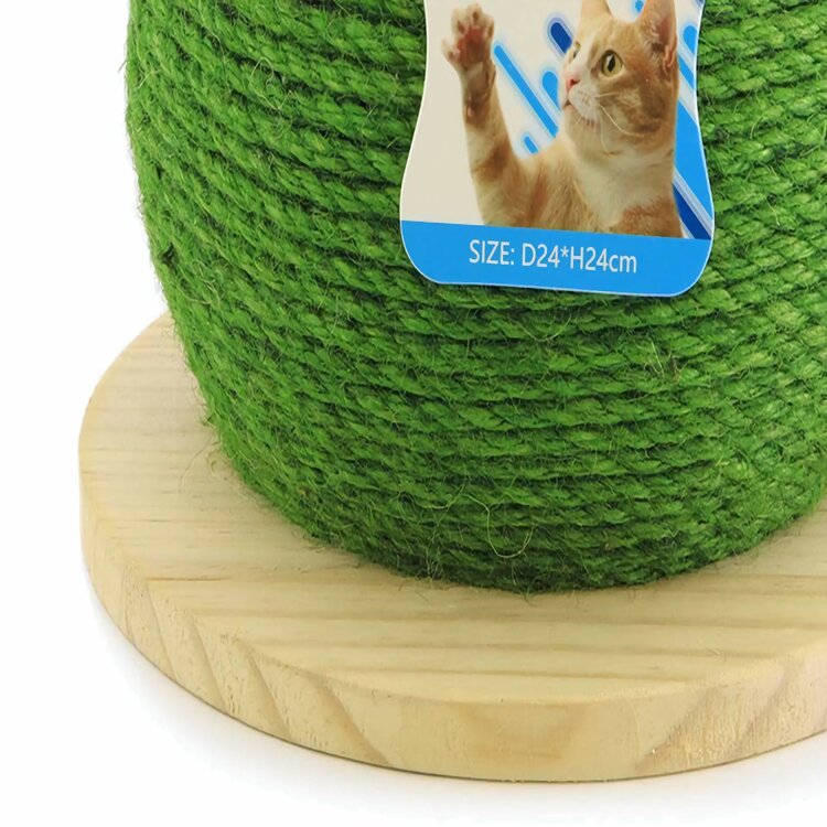 cactus natuurlijk speelgoed voor katten