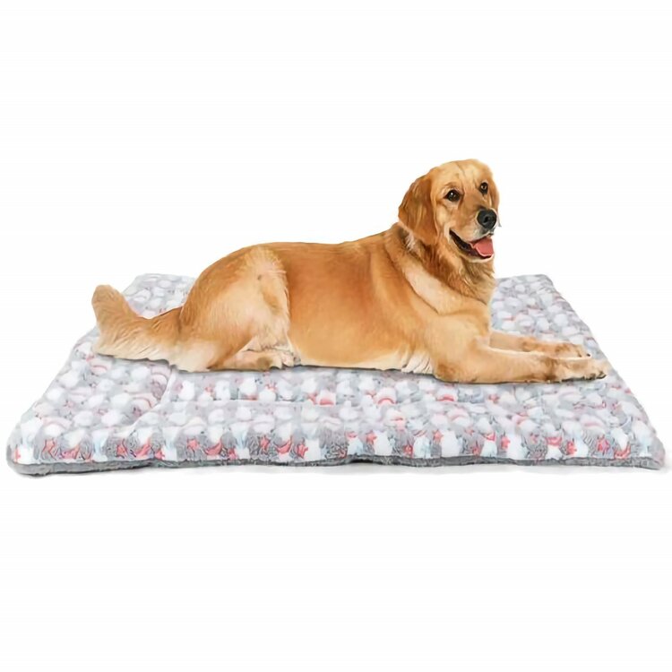 Nobleza Kleed voor hond en kat - Grijs pluche - 75x110 cm