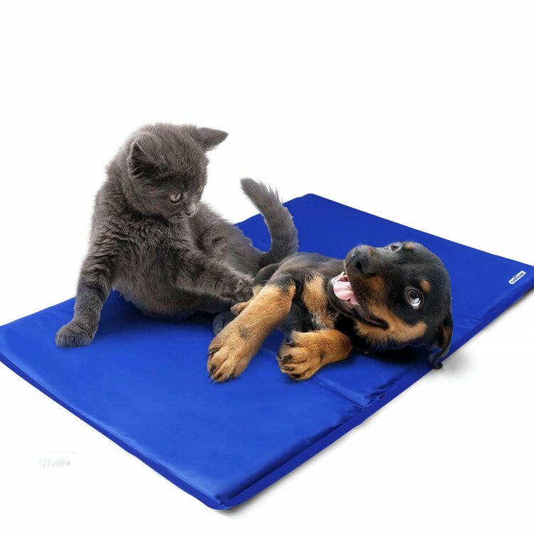 Koelmat honden