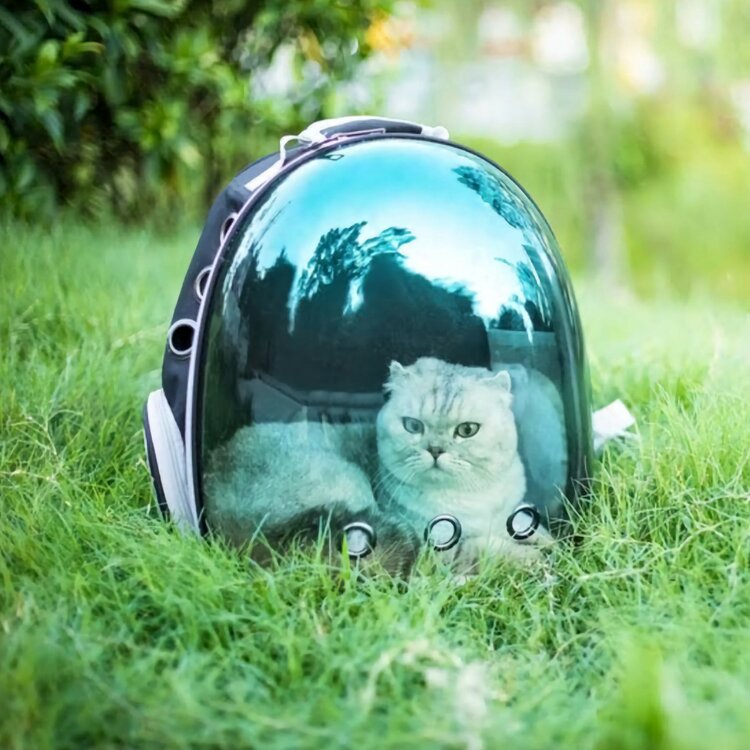 rugzak om poes in mee te nemen