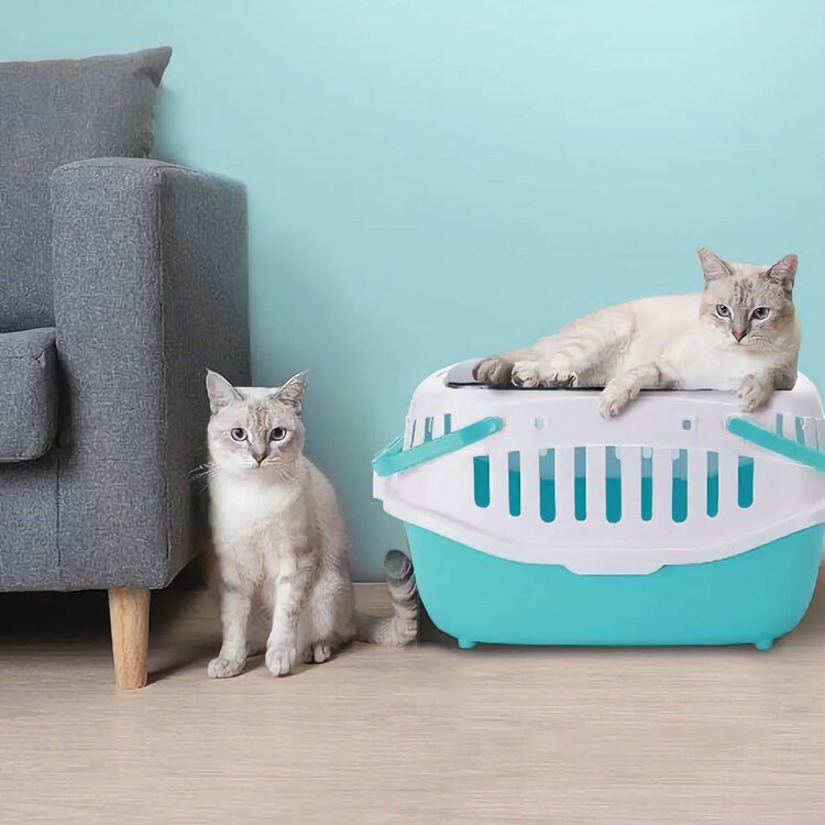 Nobleza Kattenreismand - Bovenlader - Blauw