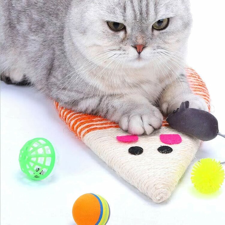 kattenspeelgoed goedkoop
