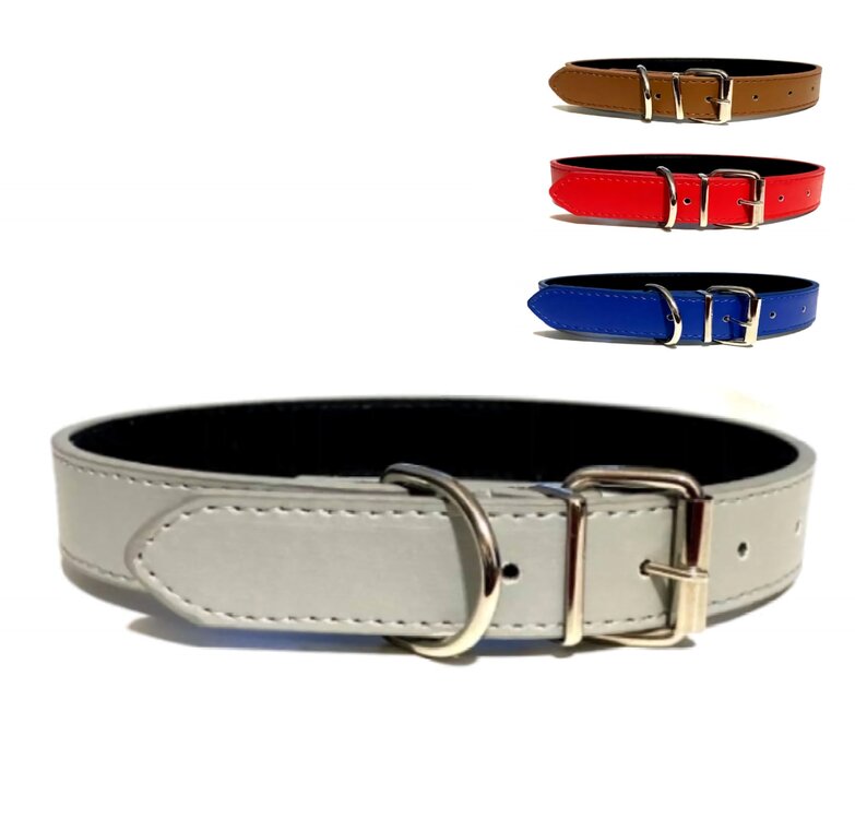 Nobleza Hondenhalsband met gesp - 32 cm