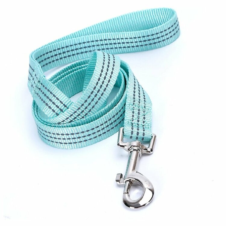 Nobleza Hondenriem reflecterend - Mint - 120 cm