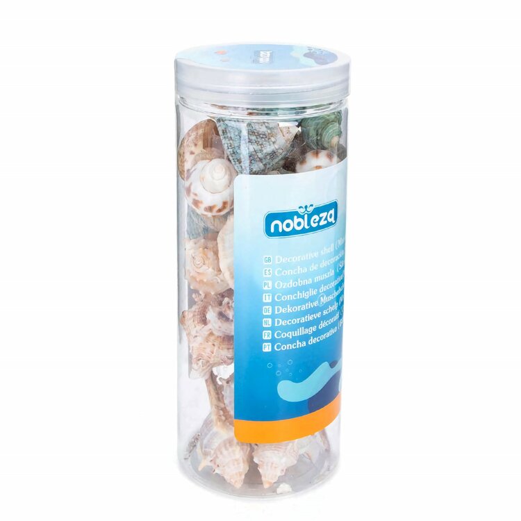decoratieve schelpen